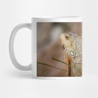 Resting Mug